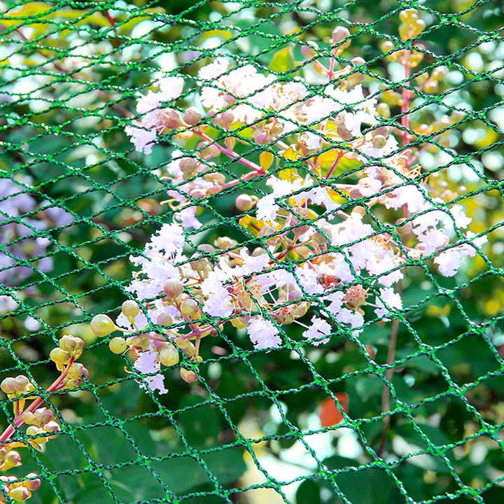 Anti-Bird Guard Netting Mga Halaman sa Halamanan