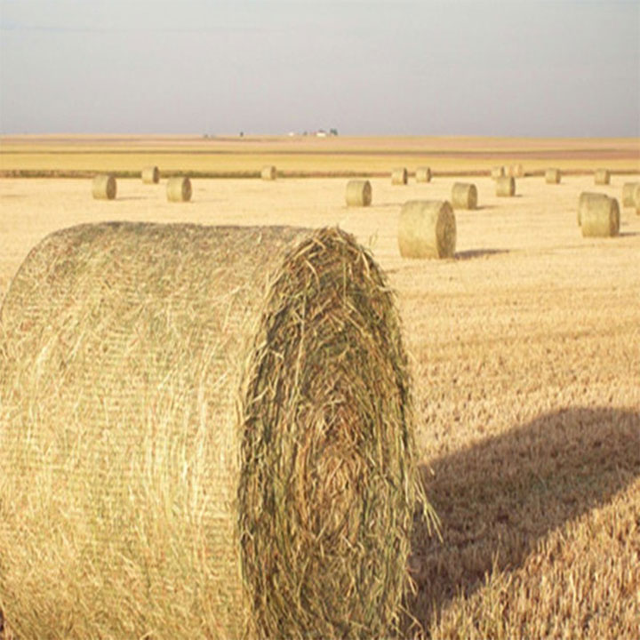 HDPE Biodegradable Bale Wrap Net para sa Agrikultura